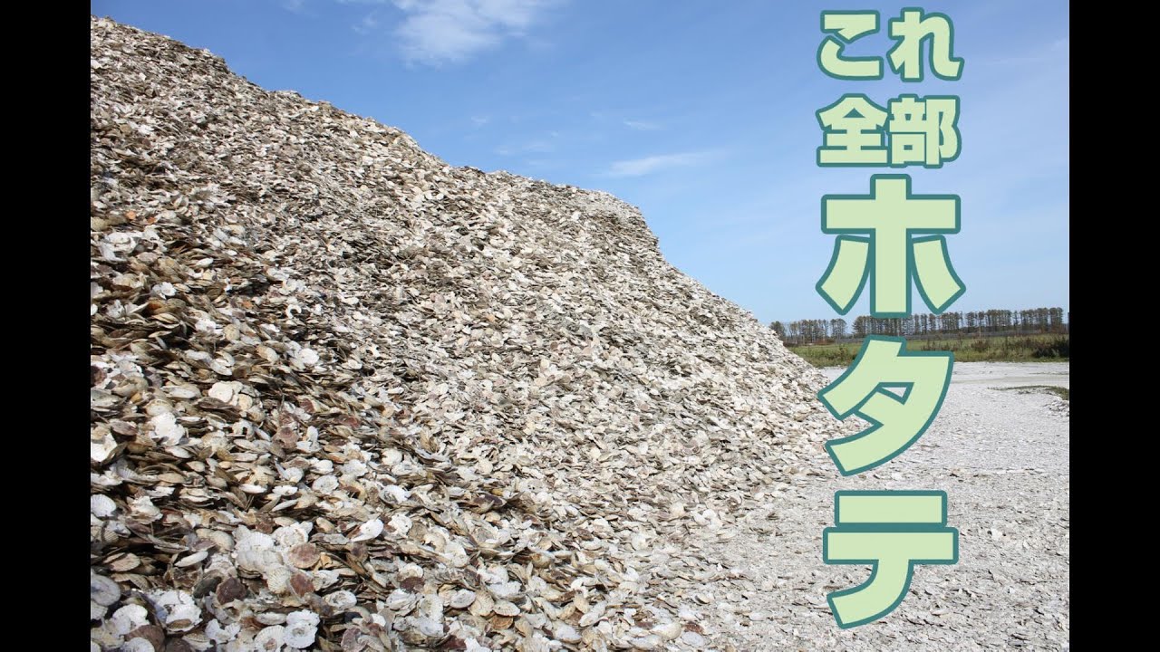 ホタテの貝殻が万能な粉に生まれ変わる！？