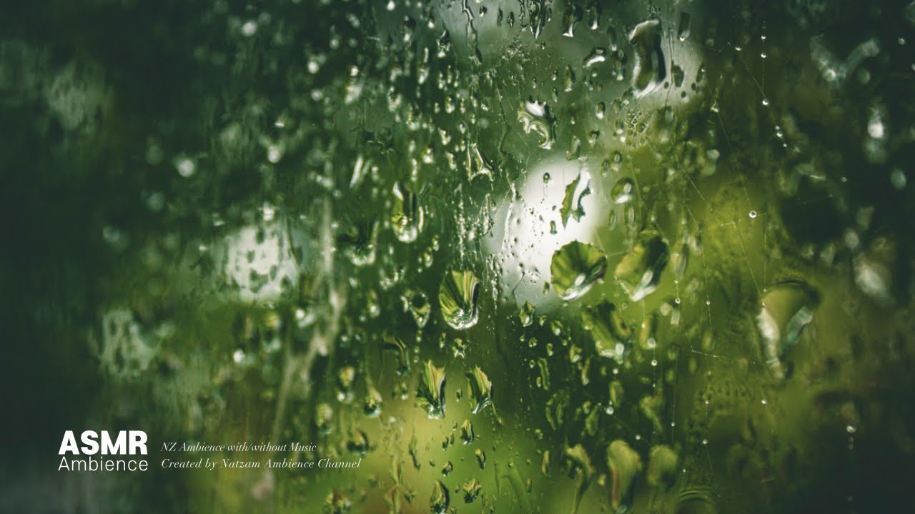 천천히 힘 빼고 느슨하게🌙느슨한 저녁, 창문을 두드리는 빗소리 ASMR