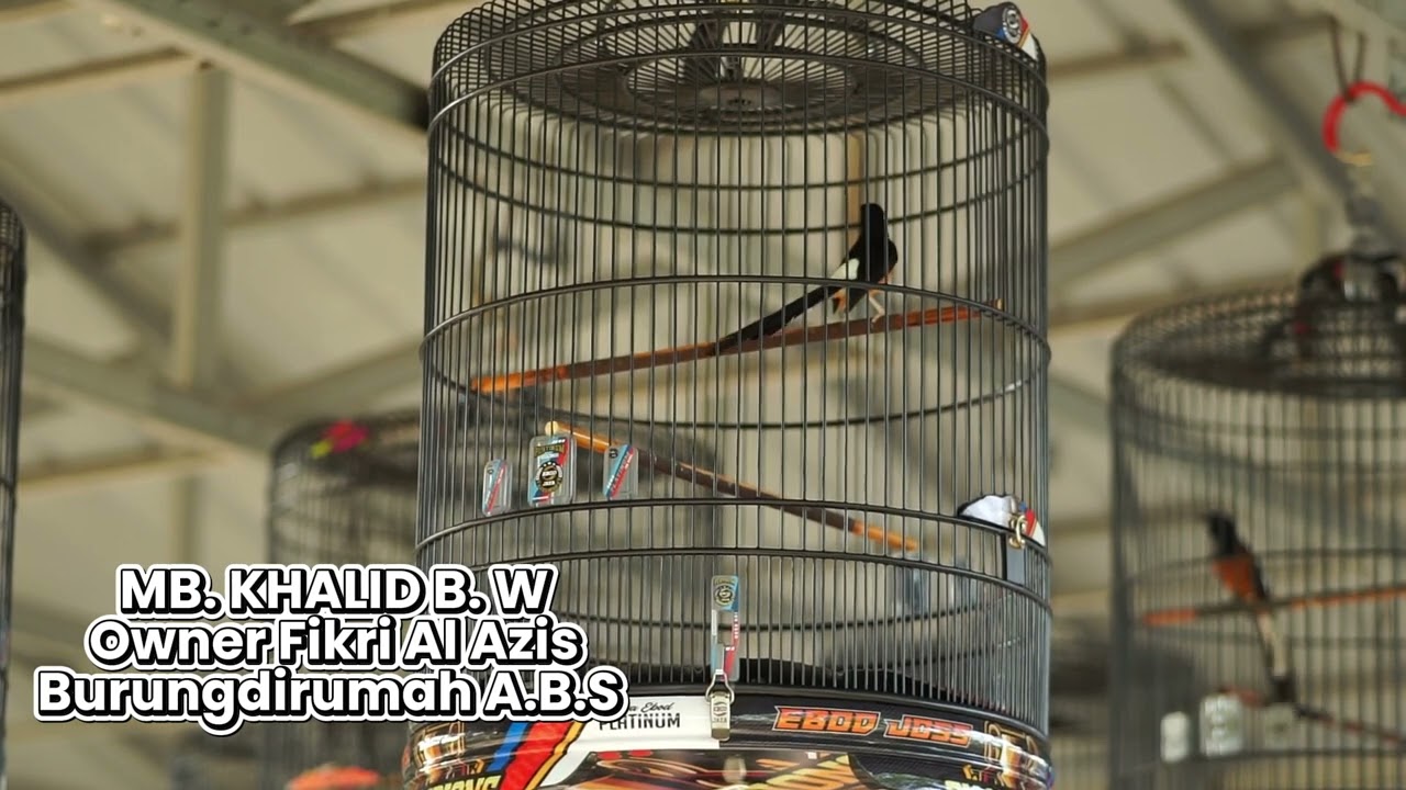 MB KHALID || CUP III 86 BC Tubaba Tiket 150K