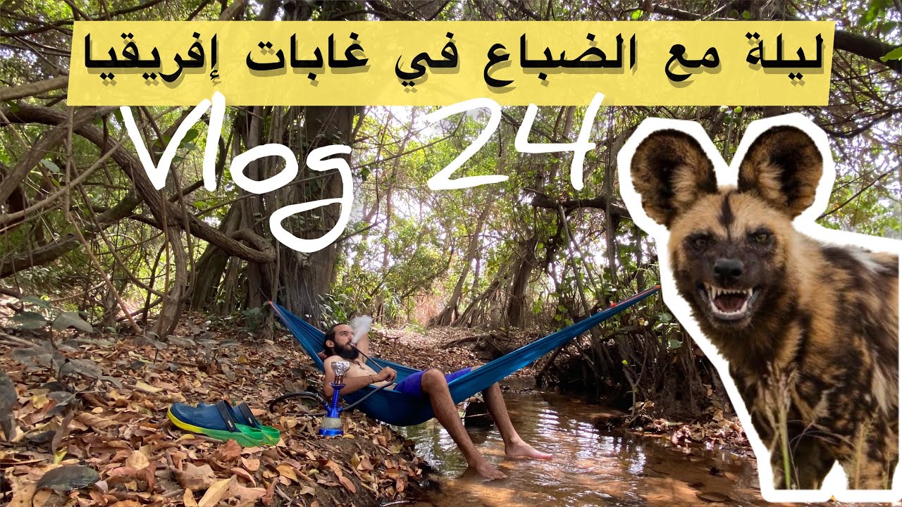 #vlog24 Zombo ليلة مع الضباع في غابات إفريقيا والنوم تحت سماء 🌙 النجوم خارج الخيمة