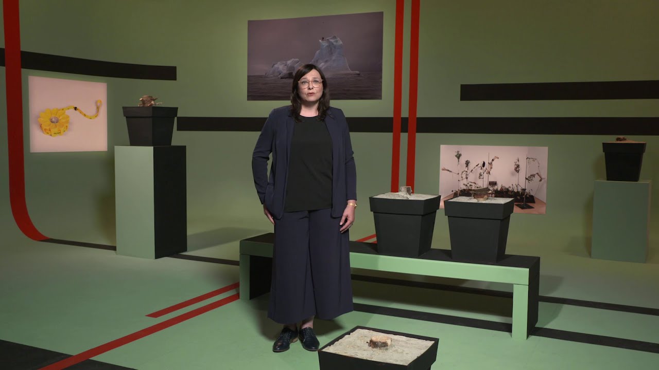 De la récupération au recyclage | Art & Écologie | Centre Pompidou