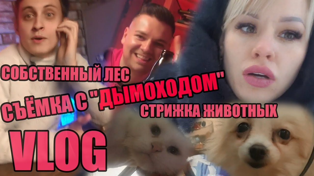 VLOG ▶ СЪЁМКА С 