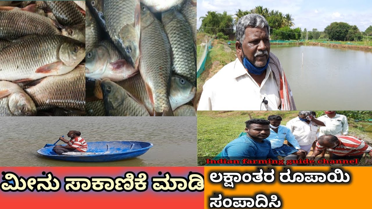 ಮೀನು ಸಾಕಾಣಿಕೆ  (Guide to fish farming in karnataka)