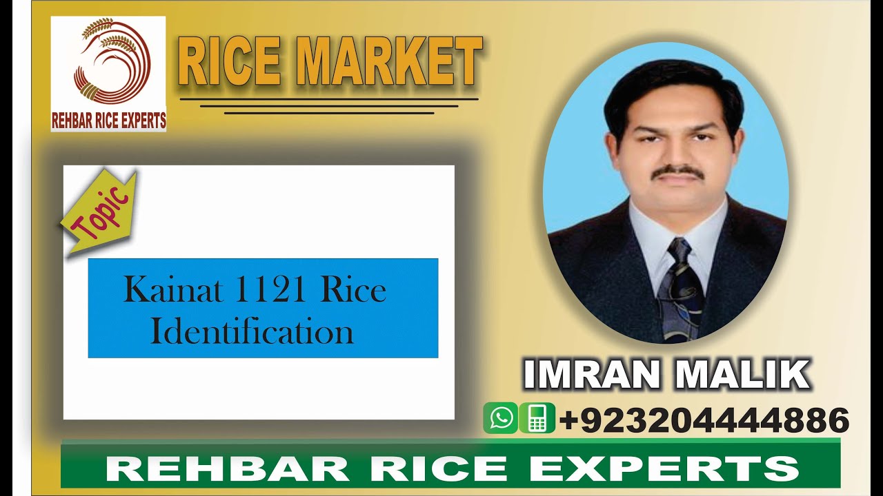 1121 || 1121 Rice || Kainat 1121 || PB 1121 Rice Grain|| Kainat 1121 Rice Identification