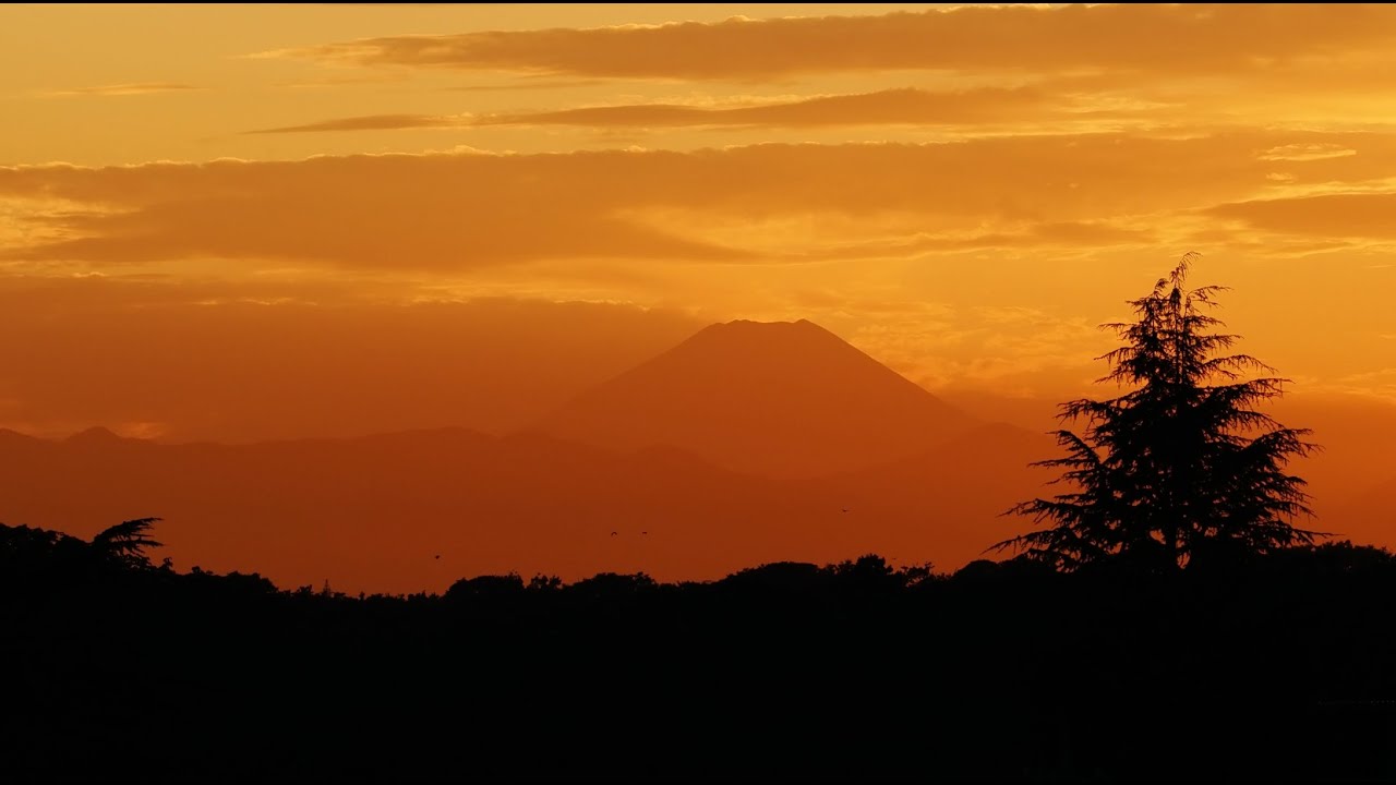 2026年1月31日・富士山は出ない気がしますが・吉祥寺からの富士山Sunsetライブ・右端に富士山がいます