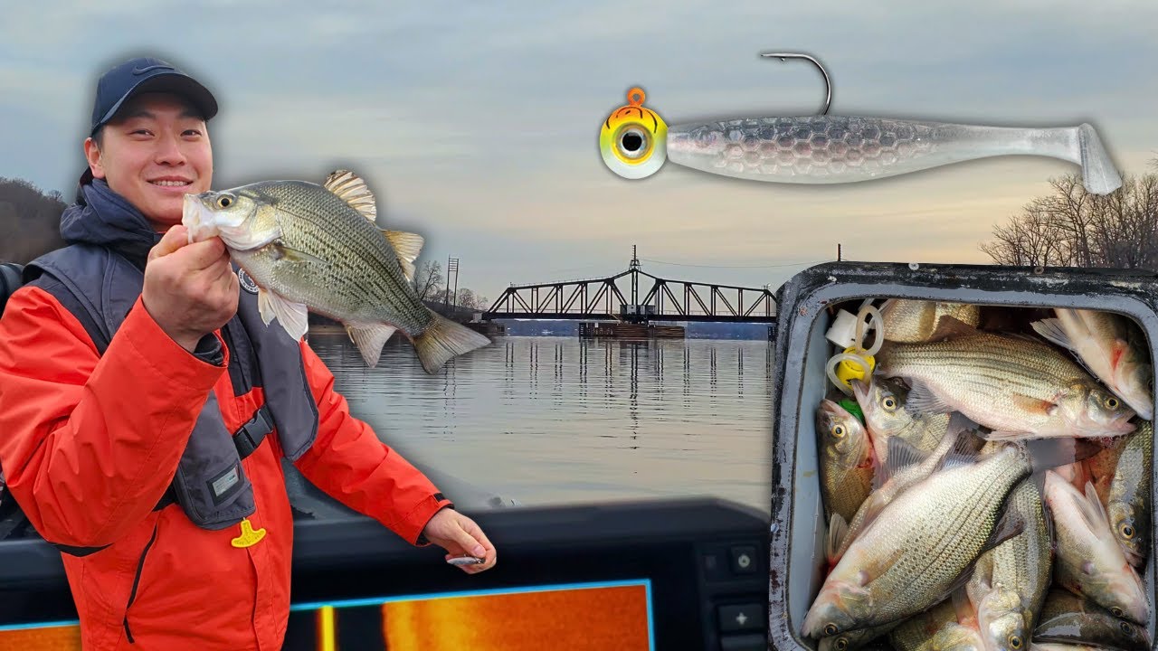 LIMITED OUT on the St. Croix River for White Bass!