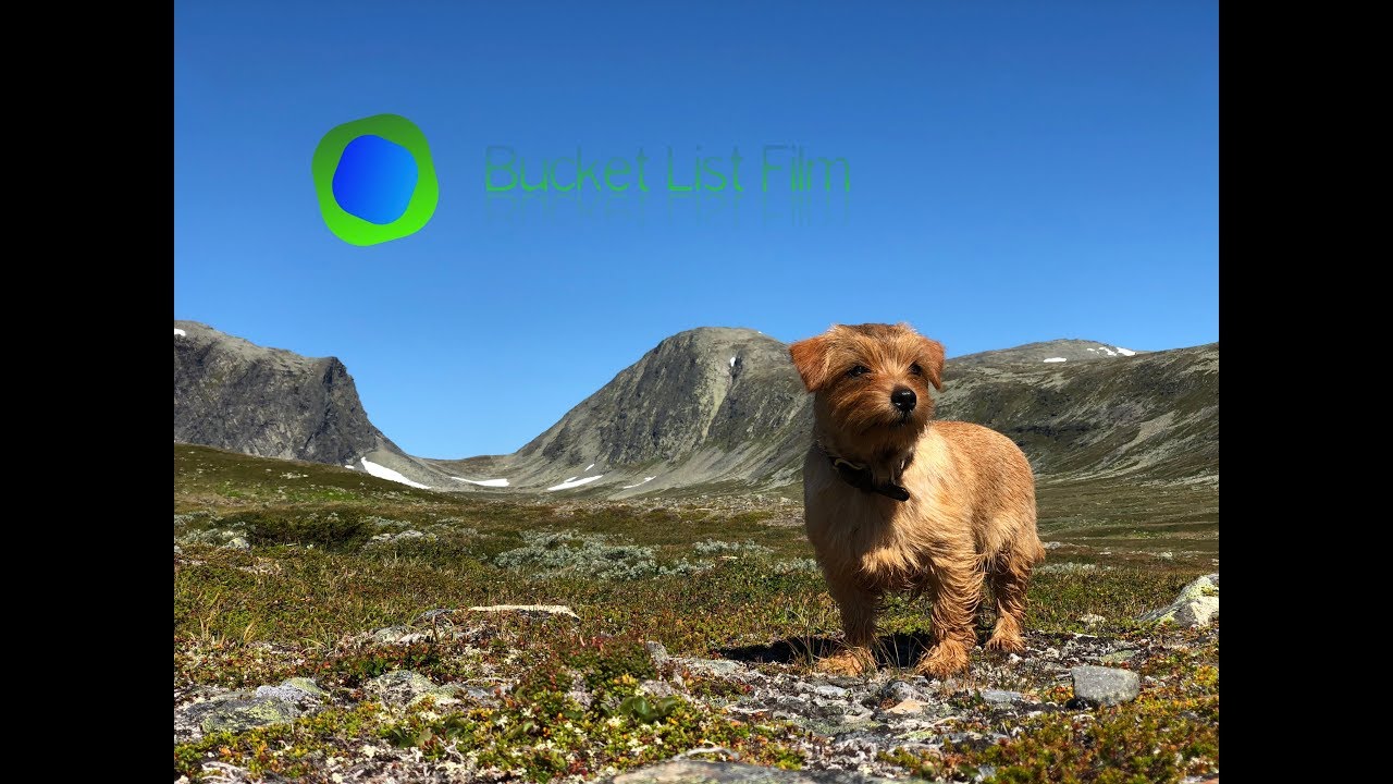 Tvärs över Jämtlandsfjällen solo ... Eller, solo förresten