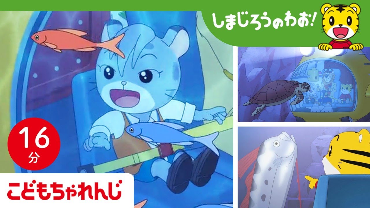 【16分アニメ】さかながいっぱい！🐠 深海のだいぼうけん！ | 海の生き物・潜水艦・冒険 | しまじろうのわお！アニメ | しまじろうチャンネル公式