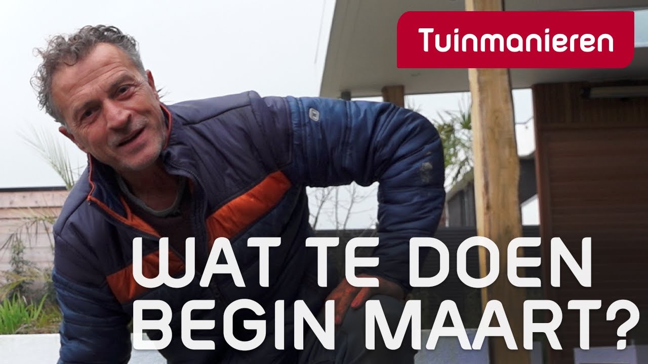 Wat te doen begin maart in de tuin | Tuinmanieren