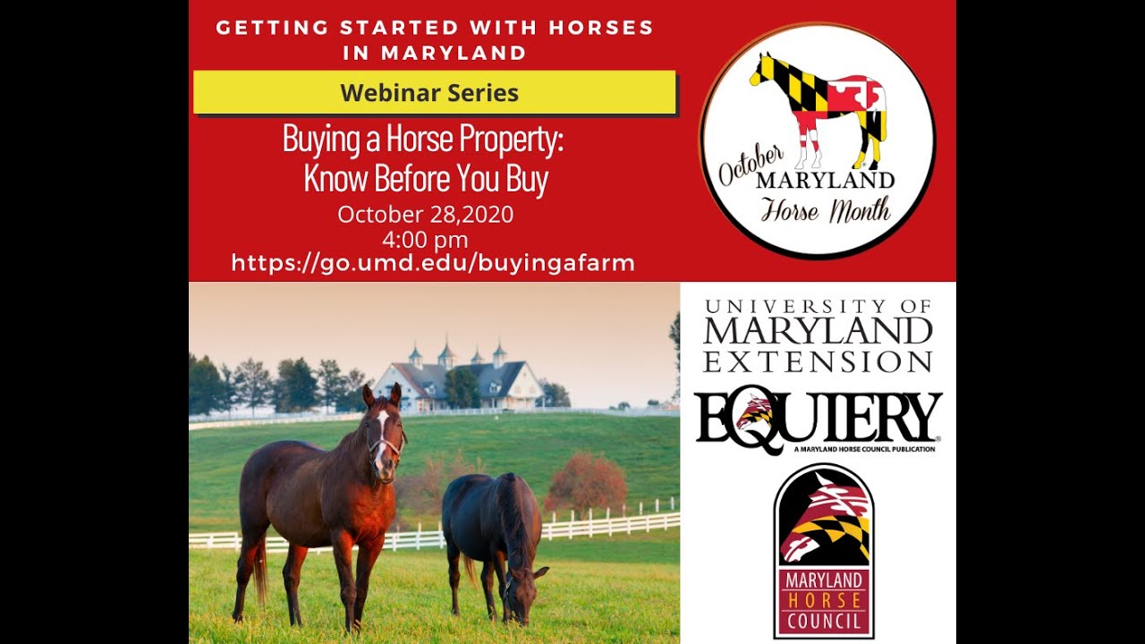 Buying a Horse Property: Know Before You Buy