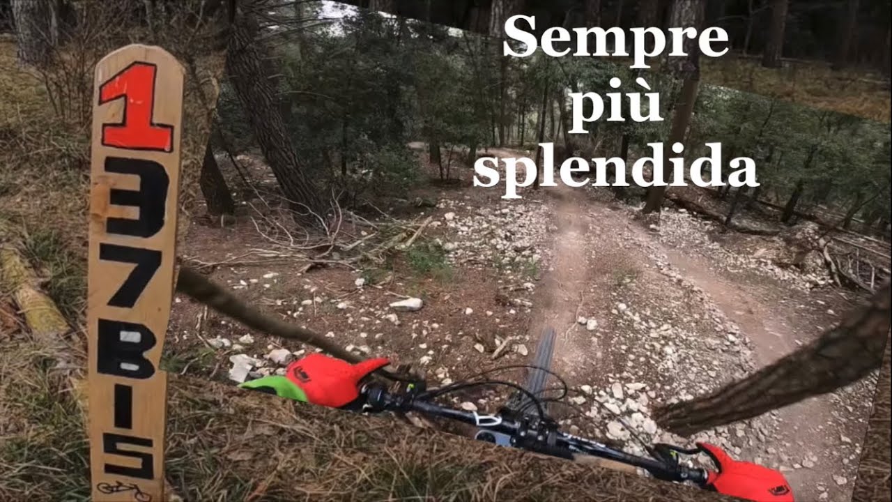Eccovi la “137 bis”…Cesane bike park!