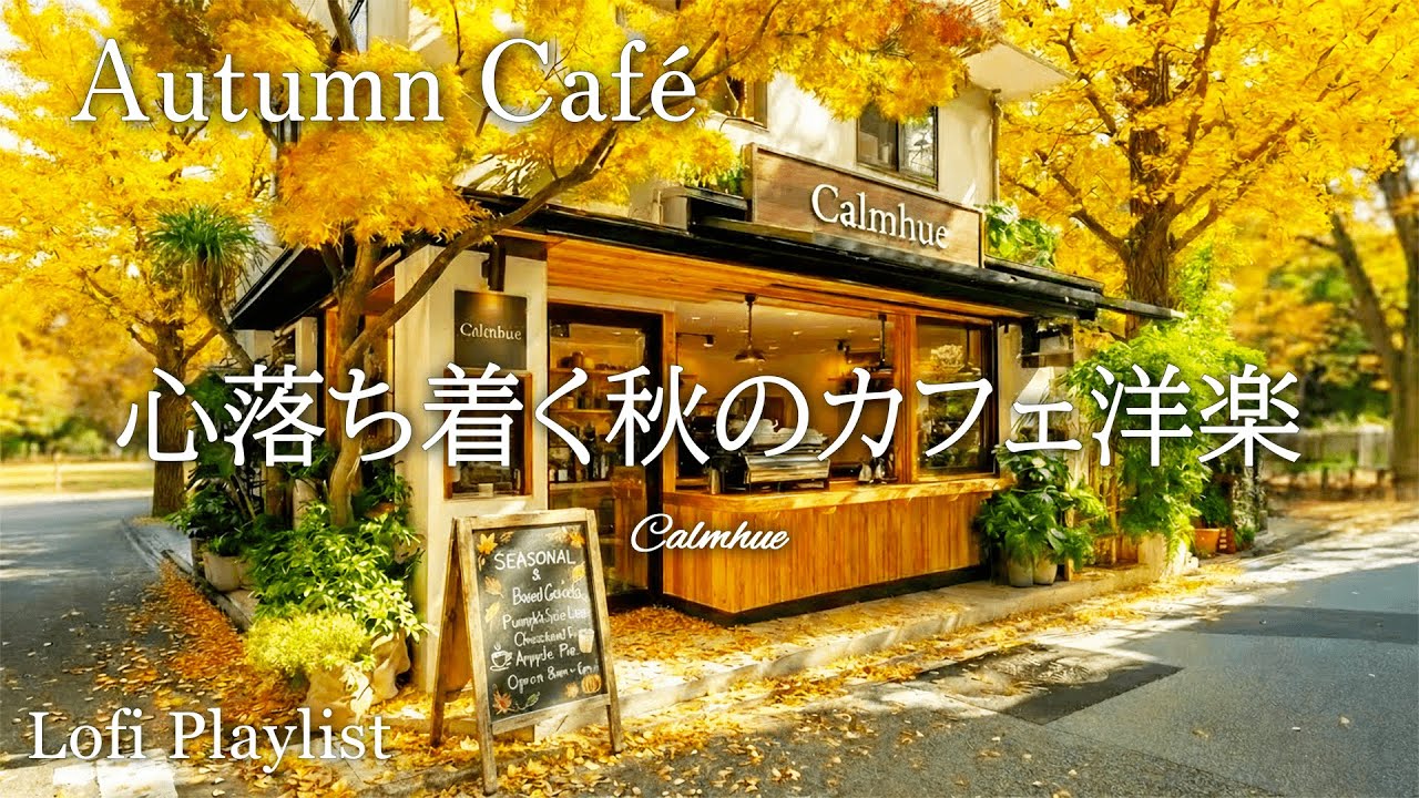 Chill Acoustic for Reading ☕ Soft Beats & Warm Vibes | Cozy Study & Café Music