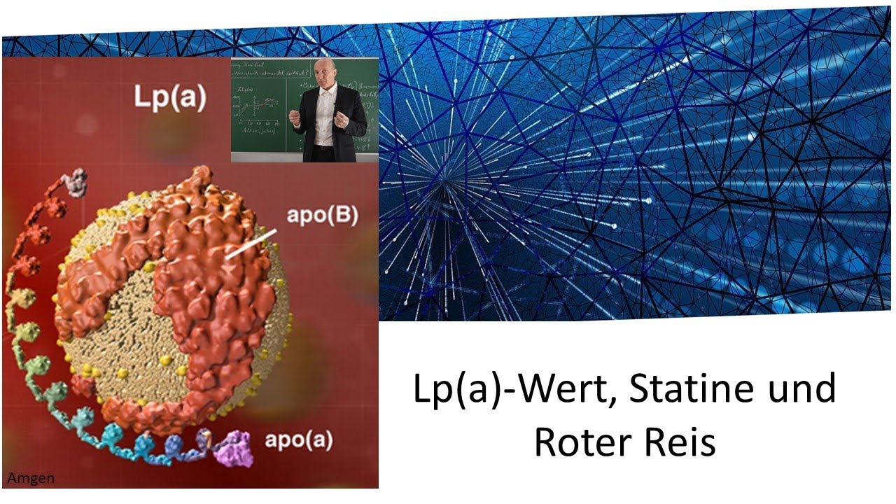 Lipoprotein(a) - Statine und Roter Reis