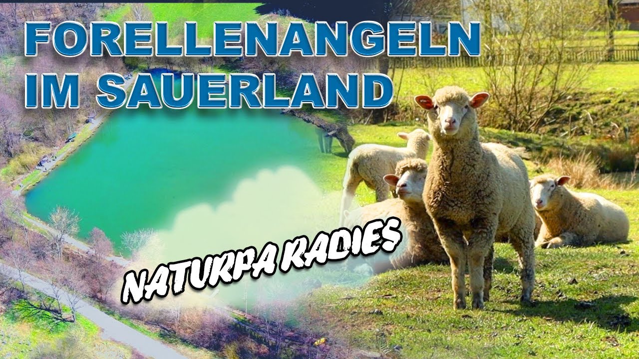 Forellenangeln im Sauerland am großen Teich