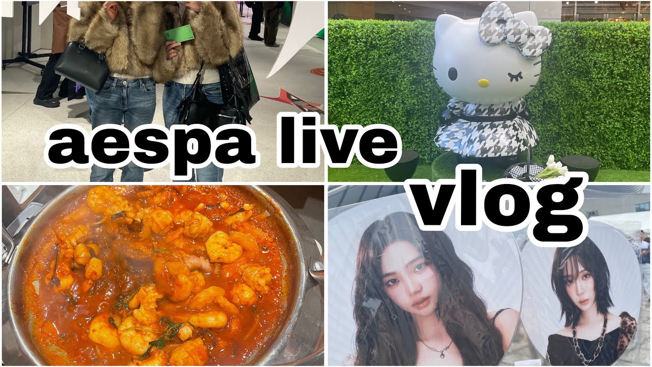 【vlog】aespa LIVE 💖