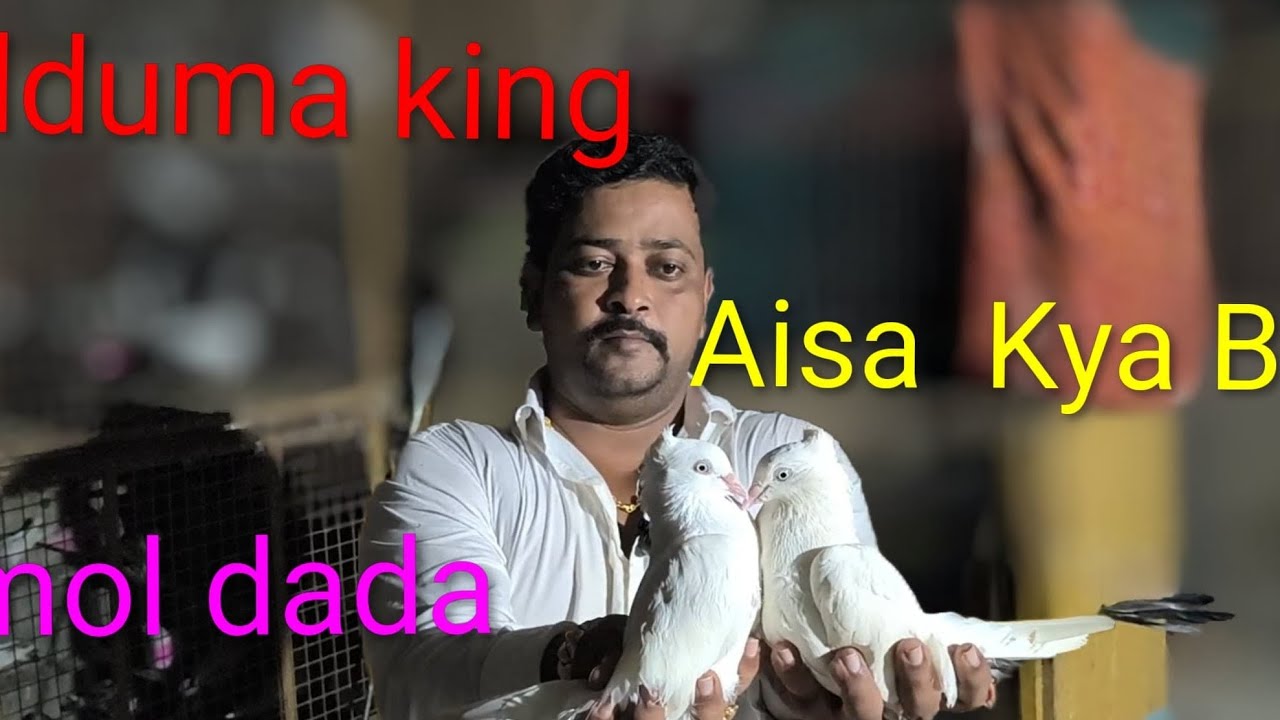 😨#Aisa#kya#bola Amol dada Kalduma king Aur Unka Shok🕊️