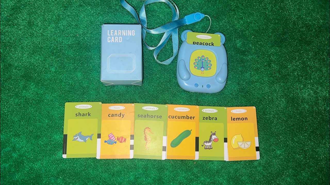 Talking Flash Cards for Toddlers Ages 2–6 | Interactive Educational Learning Toy for Kids