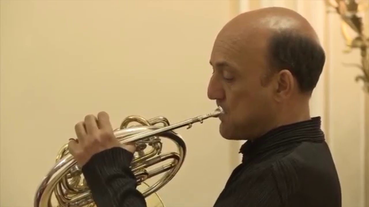 French Horn/Trompa/Javier Bonet/The Pink Panther