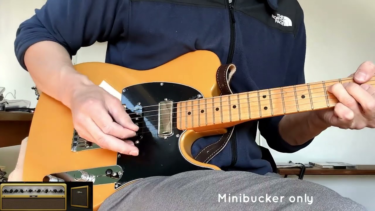 Clean Tone Dimarzio DP240 vintage minibucker on Telecaster