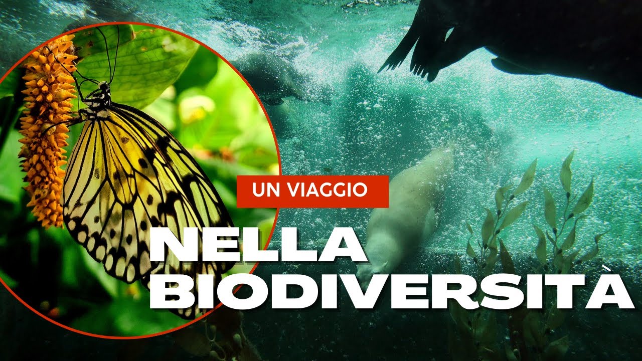 Un viaggio nella biodiversità ad Amsterdam
