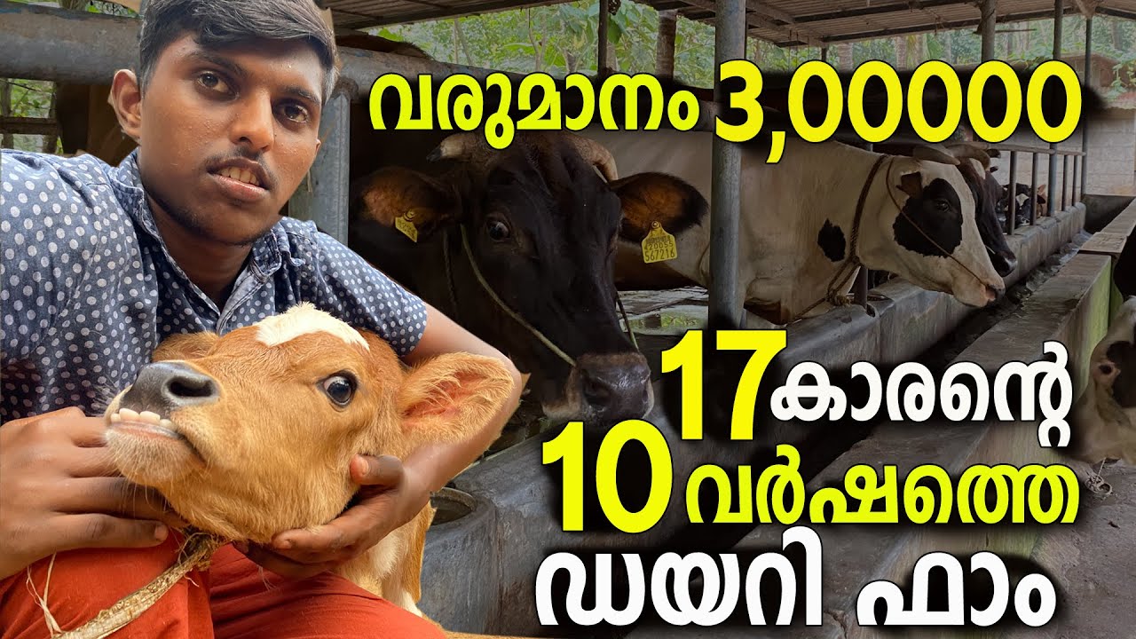 17 കാരൻ്റെ 10 വർഷത്തെ പശു വളർത്തൽ വിജയം || Profitable DIARY FARMING In Kerala || Pashu Valarthal