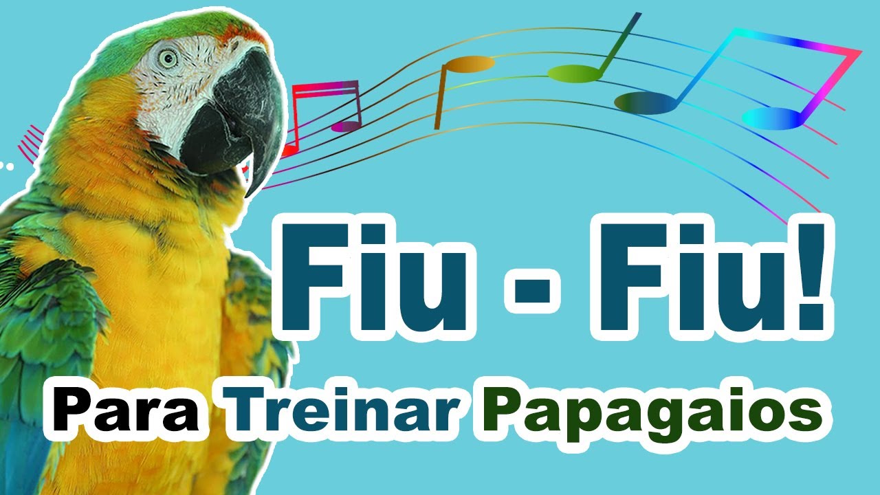 assobio fiu fiu para treinar papagaio    assobio fiu fiu para papagaio