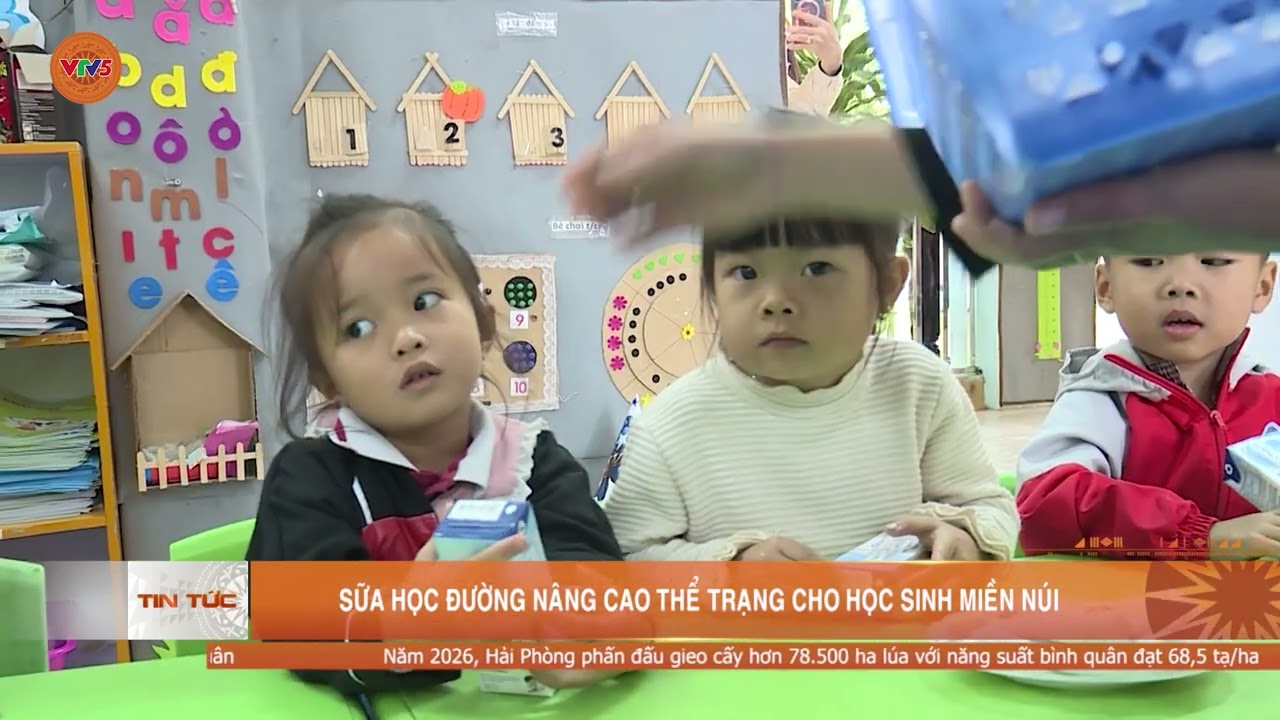 SỮA HỌC ĐƯỜNG NÂNG CAO THỂ TRẠNG CHO HỌC SINH MIỀN NÚI | VTV5