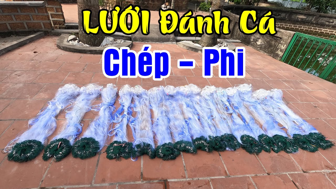 Video số 74 | Dòng lưới Thái Xịn -Thuyền Buồm Vàng đánh Cá Chép,Cá Phi | Cao 1m2 x 90m x 8cm #450k