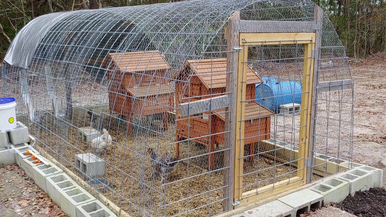 Cow Panel Chicken Coop with Auto Water and Auto Feeder  #chicken, #shorts, #animals