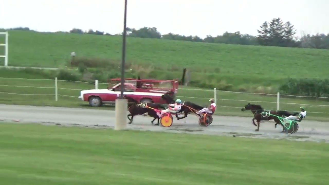 Nappanee Raceway July 8th, 2023, MI's Where's The Party wins in 1:01.3