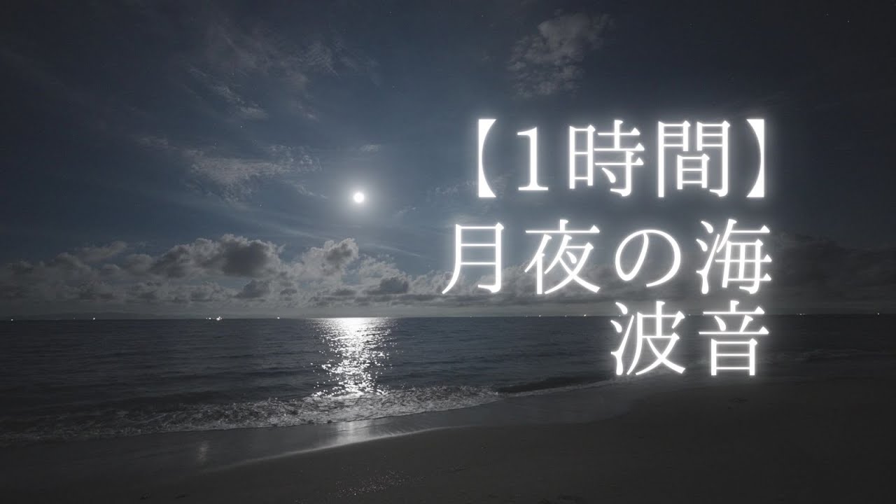 【環境音】夏、月夜の海／1時間4K／波の音／作業用BGM、BGV／SONY a7SⅢ／愛知県小野浦海水浴場（知多半島）／Moonlit sea／1hour／Nature Sounds／自然の音
