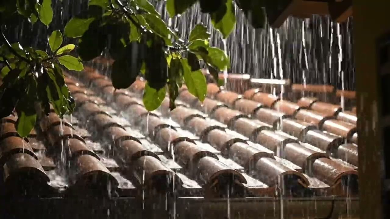 Rainy Day Ambience for a Peaceful Nap