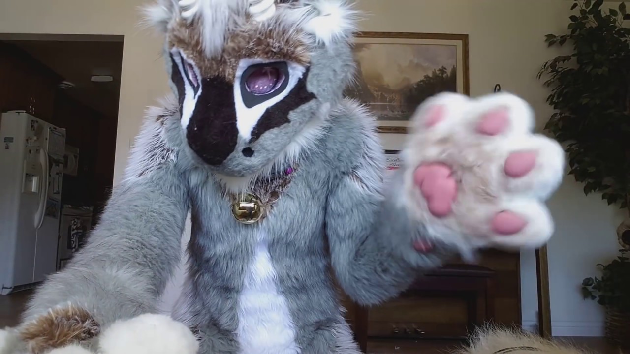Fursuit suit up: Fluff Muffin Alamode the Dutch Angel Dragon