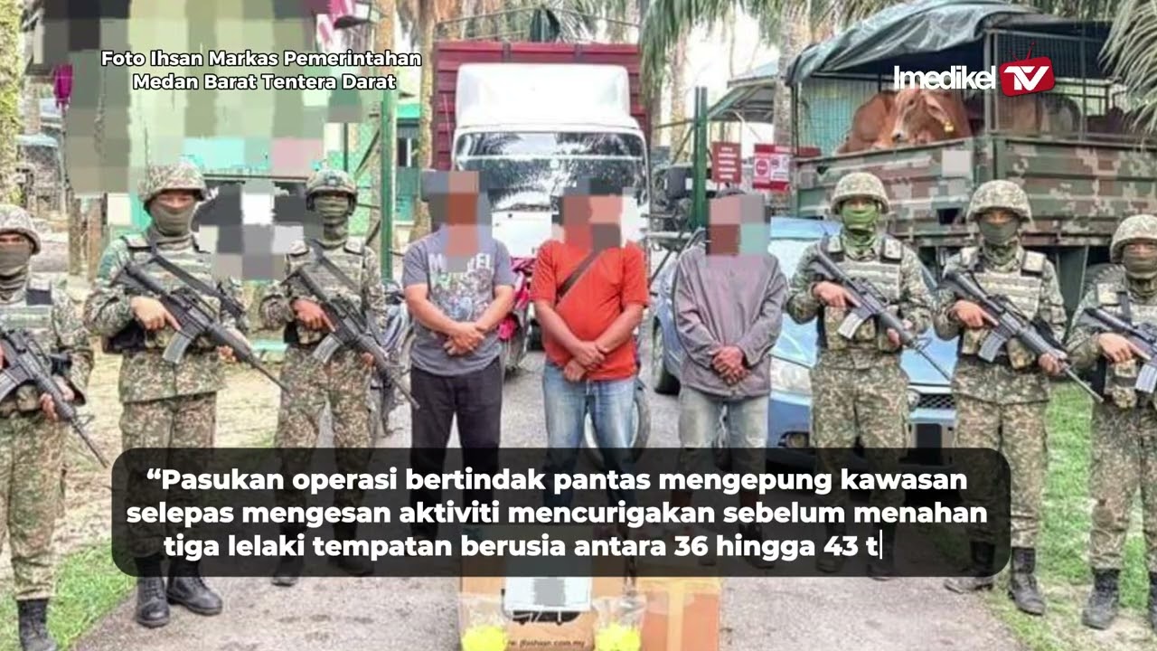 TDM TAHAN TIGA LELAKI SELUDUP 32 EKOR LEMBU DI SUNGAI GOLOK | Imedikel TV
