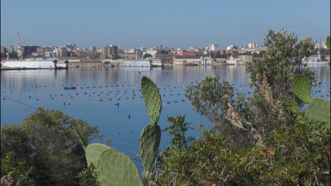 Taranto avvia il percorso partecipativo per il futuro del Mar Piccolo