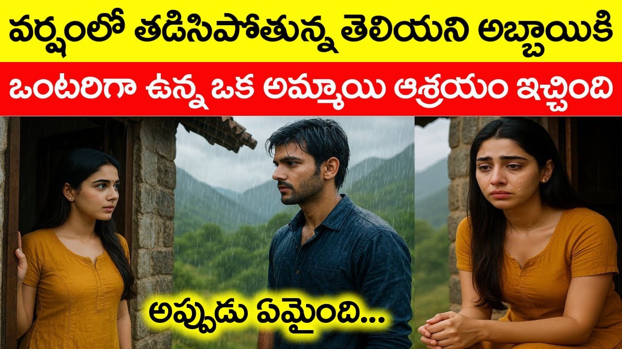 రాత్రి వర్షంలో తడిసిపోతున్న ఒక అబ్బాయికి ఆ అమ్మాయి ఆశ్రయం ఇచ్చింది. తర్వాత ఏమైంది? @telugufactor