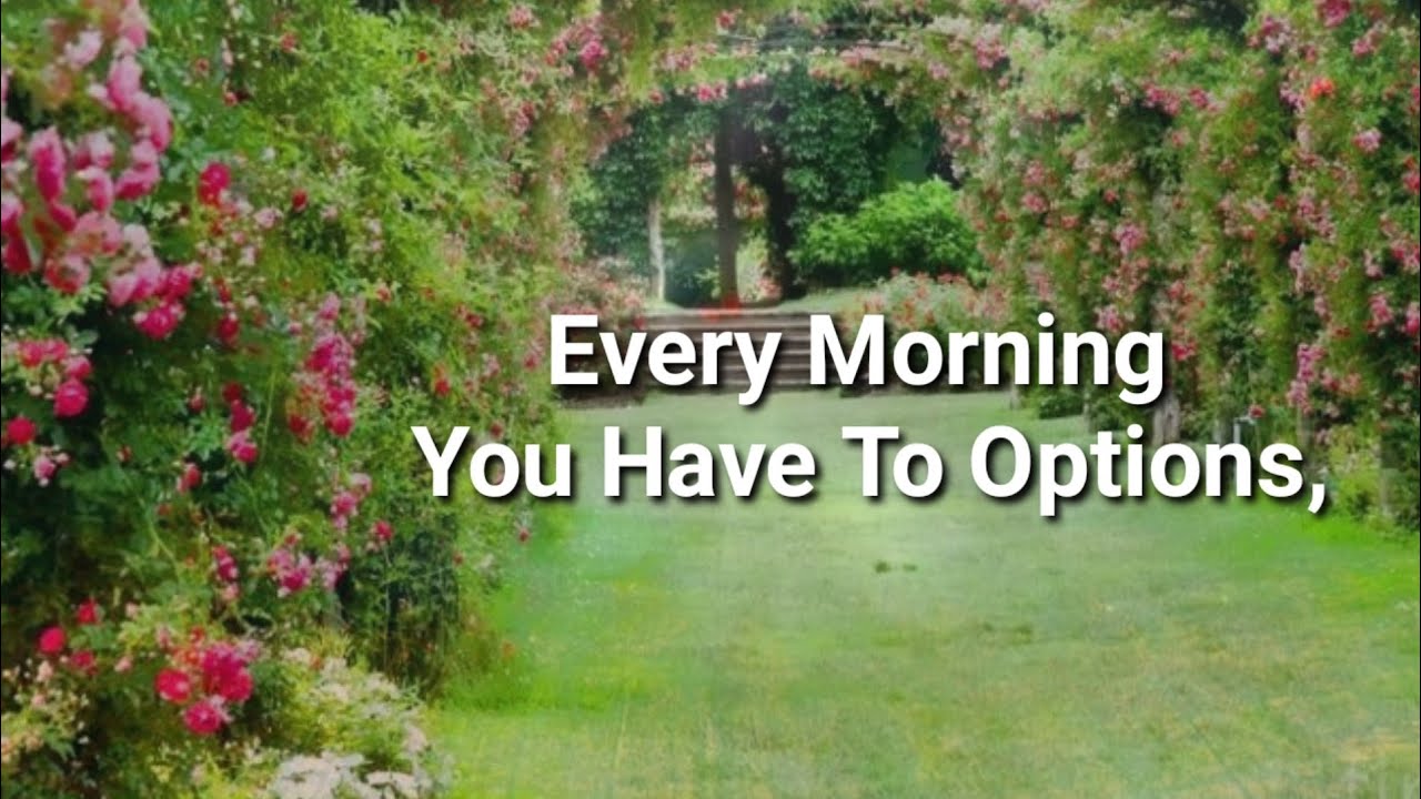 Good Morning Wishes| Beautiful Morning Positive Quotes| Motivational Status| True Line Quotes|
