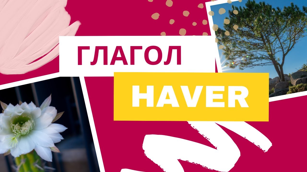 Португальский глагол haver