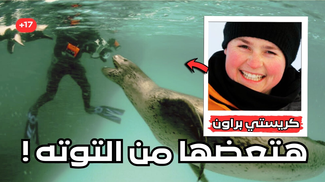 ازاي حيوان الفقمه قضي علي اشهر عالمة احياء سنة 2003 ؟