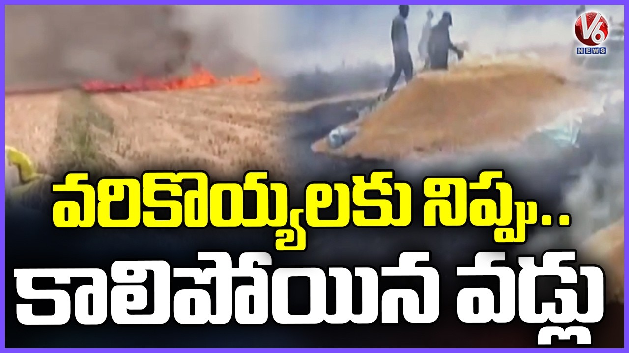 Paddy Stubble Set Ablaze in Peddapalli; Crops Burnt Down | V6 News