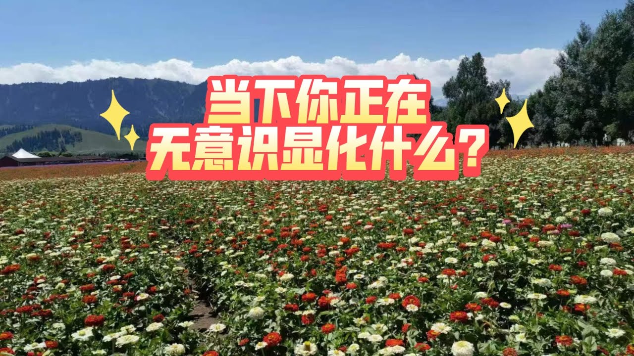 【大众占卜】当下你正在无意识显化什么?（不限时空）