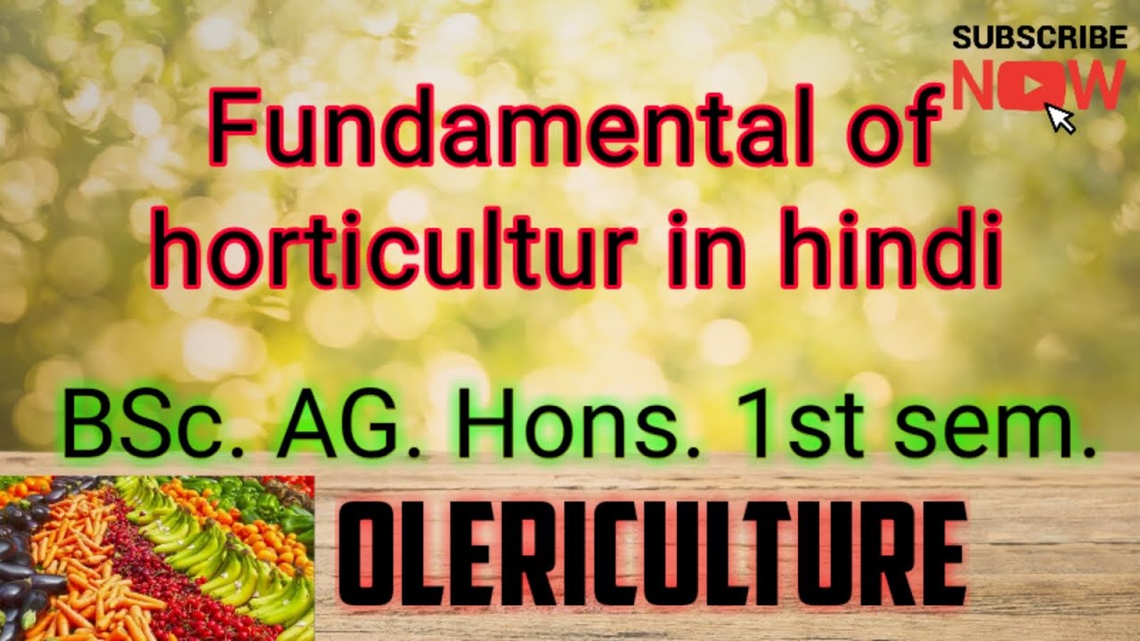 Horticultur branches in hindi, olericulture. BSc AG. 1sem....Fundamental of horticultur