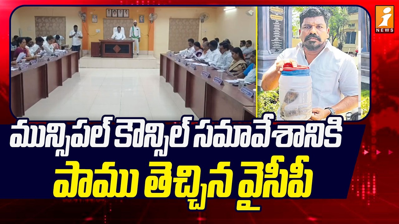 మున్సిపల్ కౌన్సిల్‌ సమావేశానికి పాము తెచ్చిన వైసీపీ | Municipal Council | AP News | iNews