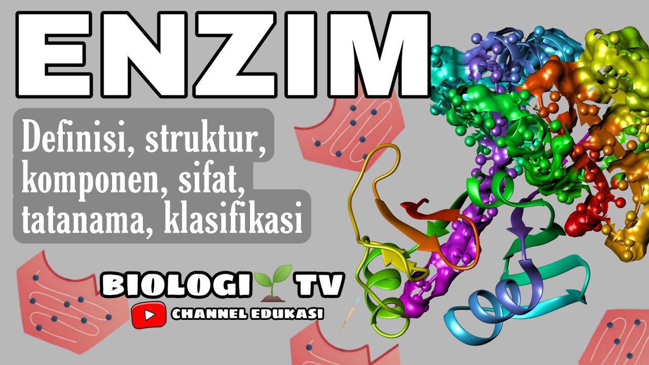 Biologi bab enzim lengkap : definisi-struktur-komponen-sifat-tatanama-klasifikasi
