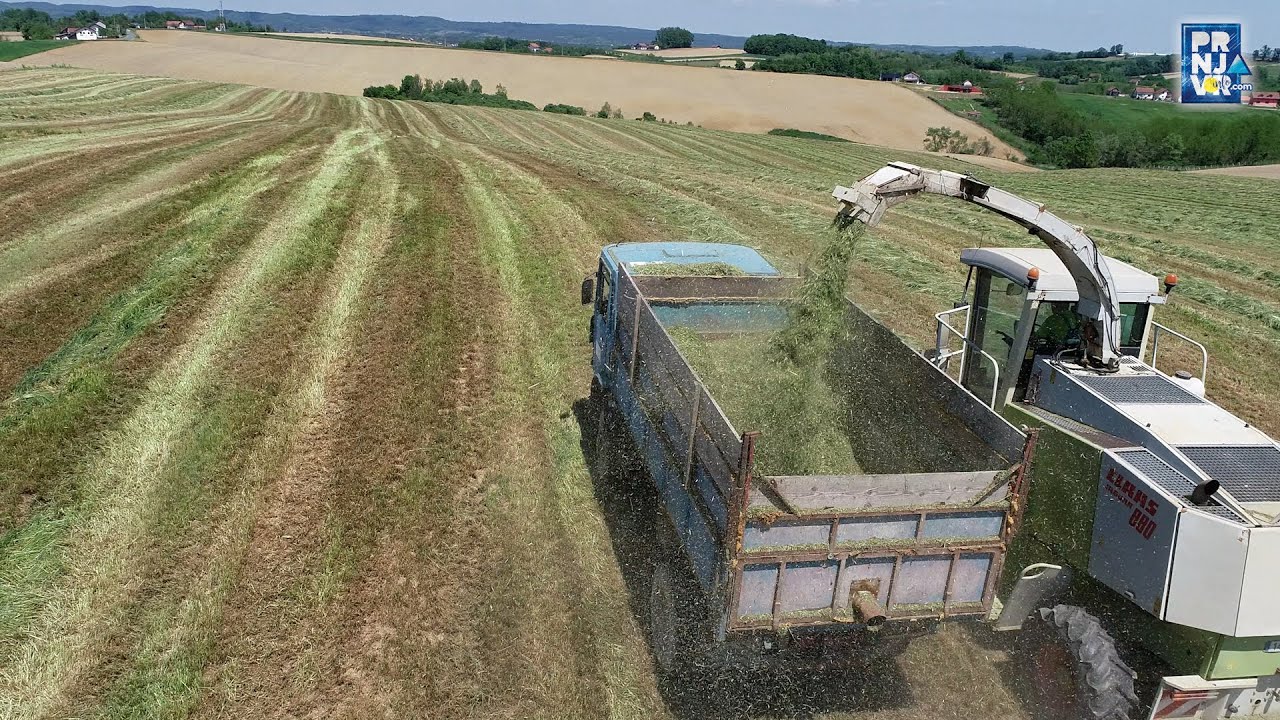Silaža na Farmi 