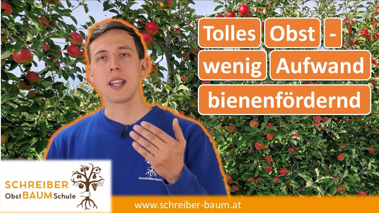 Selbstversorger Tipps - Obst nachhaltig und bienenfreundlich anbauen