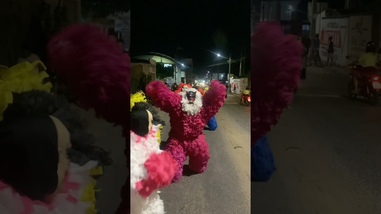Ursos de Mossor&oacute; 🥁🐻 #carnaval #urso #alegria #ursoo #mossoro #cultura