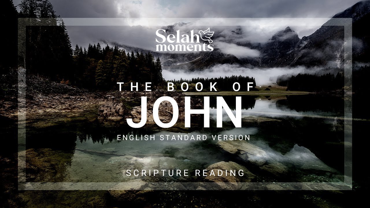 The Book of John | ESV Audio Bible #selahmoments #audiobible #ESV