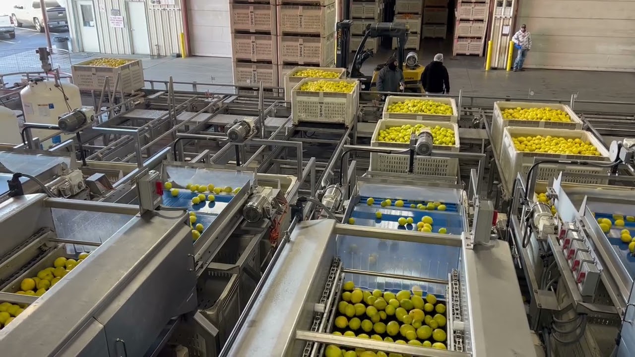 Valley Packline Solutions Automatic Bin Filling System