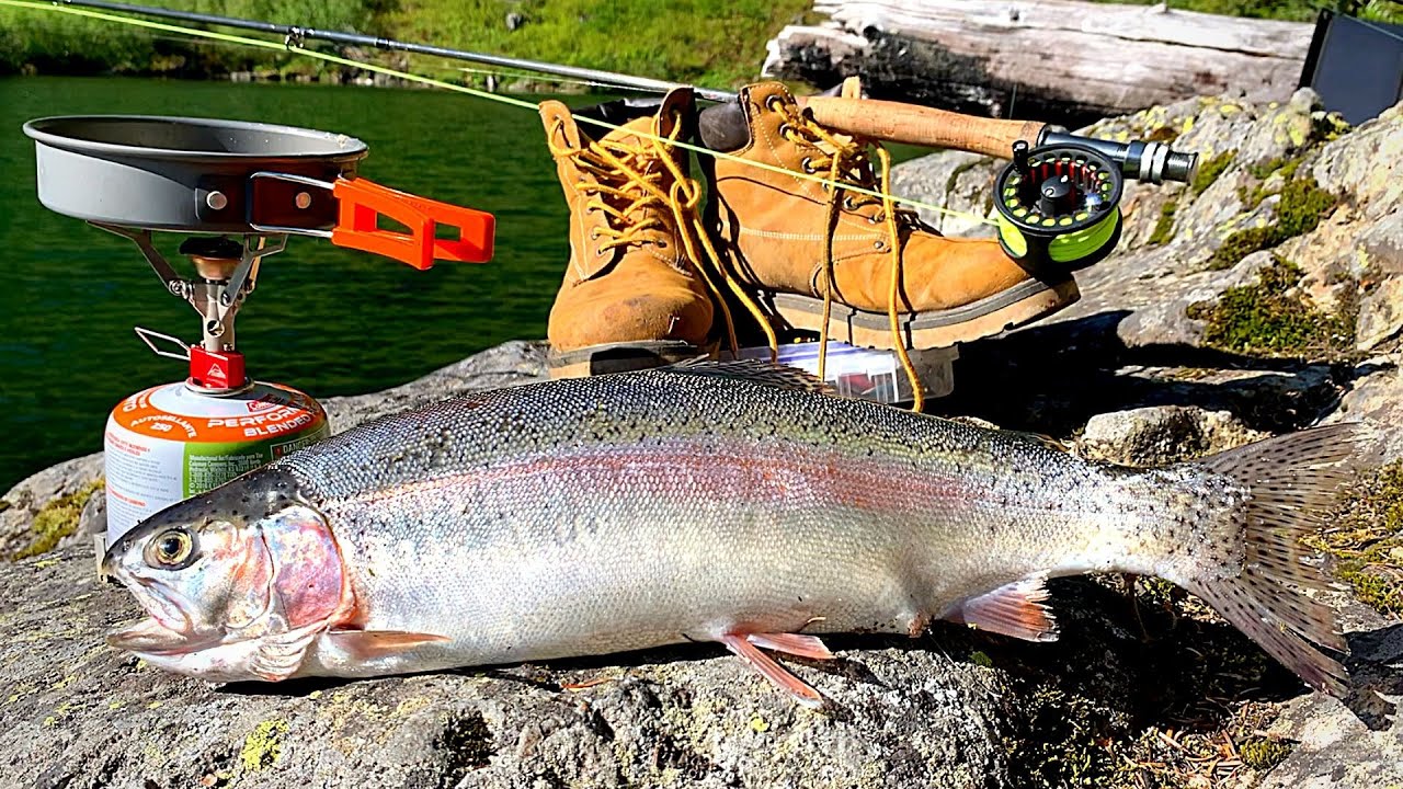 MONSTER Trout Catch & Cook!!! 48h SURVIVAL in the Mountains! (AquaView Fishing)